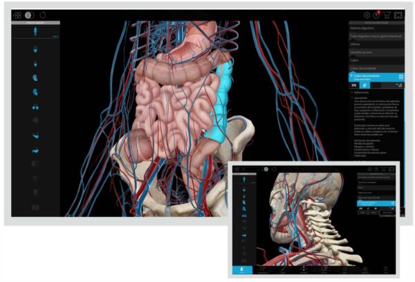 Virtual Dissection & Anatomy Tables
